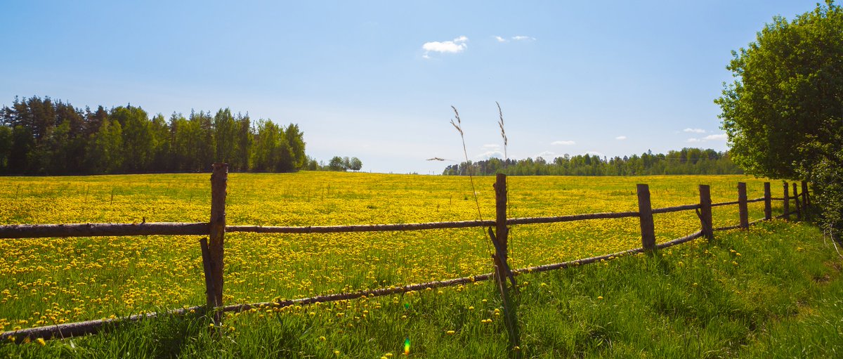 Plateau Land & Wildlife tweet media