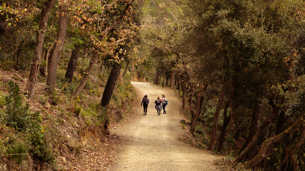 es_claris's tweet image. Hemos salido a la montaña para celebrar el primer evento #WomenatClaris. No se nos ocurre una forma mejor de pasar la tarde que disfrutando de la naturaleza y haciendo equipo #Claris. ⛰👟💪🏻 #anythingispossible @ClarisOfficial