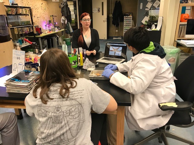 SheddLearning's tweet photo. Sea stars use tube feet for mobility and to bring food to the mouth at their center. Last week teens explored sea star anatomy through dissection. In #SheddTeenLab, we can find the answers to your animal questions. Visit us Thursdays and Saturdays! https://t.co/4S73j5t2U1 https://t.co/goJFI7Jvr6