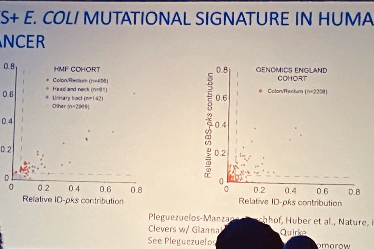 swallowsgroup's tweet photo. Talk on new research on #BowelCancer microbiome signature part of early screening #inspirational #SPECIFICANCER by the #OPTIMISTICC take the luck out of Bowel Cancer thank you Matthew Meyerson https://t.co/T2n5OmMben