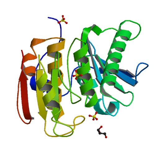 oxideolo's tweet photo. The protein I am interested in is one of many PET hydrolase mutants created by the Ideonella Sakaiensis bacterium. This protein catalyzes the break down of hardy plastics into terephthalic acid and smaller plastic monomers! This mutant is "5XFY". #prescottbiochemistry https://t.co/K5wke7XaXX