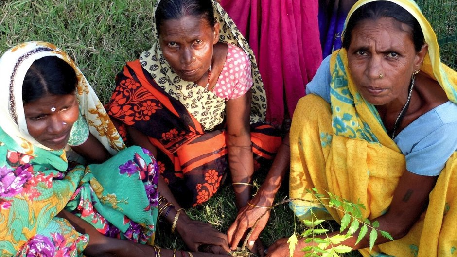 Karuna-Shechen is teaching villagers to grow their own nutrient-rich food through the use of traditional techniques, including organic pesticides and fertilizers they prepare themselves from local ingredients! Learn More: karuna-shechen.org/news/tradition…
#India #Nepal #Altruism #Himalayas
