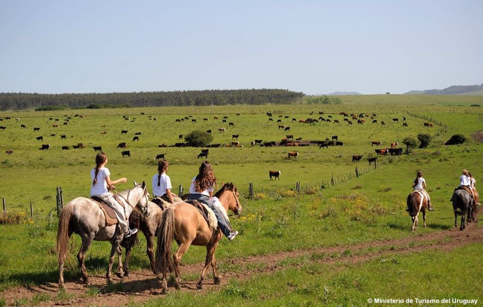 TurismoItaliaNw's tweet photo. Uruguay, le bellezze naturali del Paese sudamericano e il volto poliedrico della capitale Montevideo
Leggi la notizia https://t.co/GYtSUp58Rv
#Uruguay #BIT20 #turismo #viaggi @bitmilano @FieraMilanoSpa @Italia_Uruguay @Uruguay_Natural #TurismoRocha @TurismoRocha https://t.co/6ECrsbMpb4