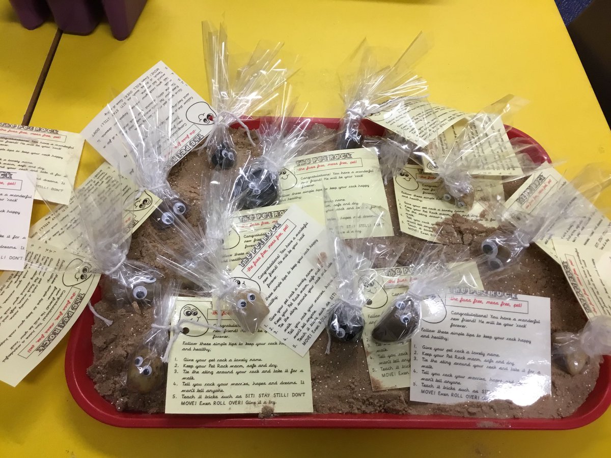StmGolden's tweet photo. INTRODUCING THE FUSS FREE, MESS FREE PET..... THE PET ROCK by Year 2. Get yours for the low low price of 50p at the Enterprise Market tomorrow afternoon! Tell it your worries, care for it, and it will be your best friend. Which one will you pick? ⁦@WorldStm⁩ #stmparents https://t.co/GxK5lNni0c