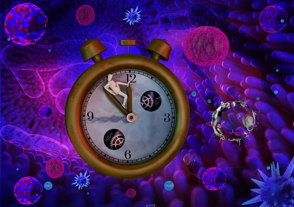 The Pan-Cancer project showed that there is a molecular clock in our cells. Credit: Rayne Zaayman-Gallant/EMBL