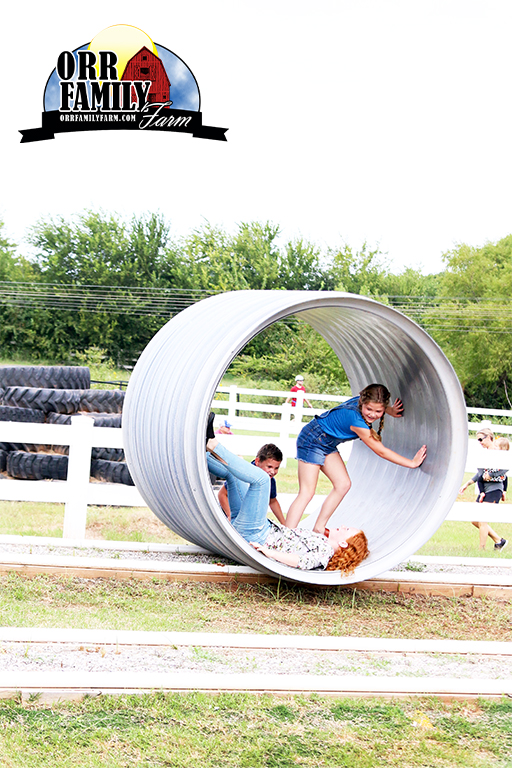 orrfamilyfarm's tweet photo. Only 7 more Wednesdays until we open for our spring season! Who’s ready!? ✋ Get your season passes today! https://t.co/6PaeNFgeYu https://t.co/B6eWlWDIiO