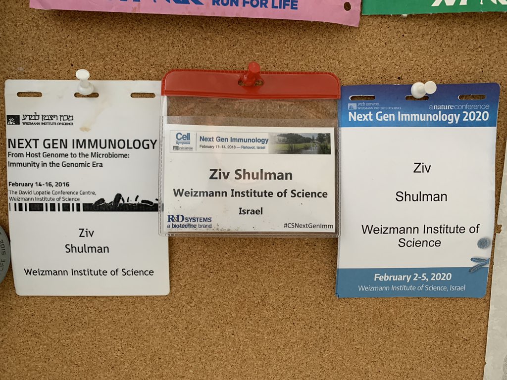 Ziv Shulman Lab tweet media
