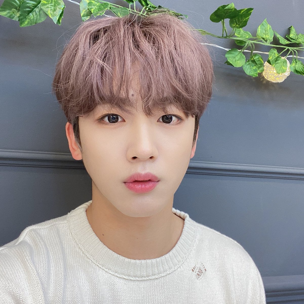 OUI_ent's tweet photo. 브이앱을 기다려주시고 끝까지 함께해주셔서 진심으로 감사드립니다😭
추운 날씨도 요한이와 함께 따뜻하고 행복한 시간이셨기를 바랍니다🌼
더 많은 모습으로 찾아뵐 요한이를 기대해주세요🤍

#김요한 #KIMYOHAN
#요한아_들린다면_당근을_흔들어줘 🥕 https://t.co/WzTYTnrltL