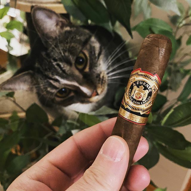 @arturofuentecigars #cigarsforthewin #cigars #cigar ift.tt/2v7I13M