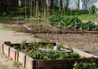 L'agriculture urbaine version "Option:Naturelle" avee ses jardins autonomes ... un choix.