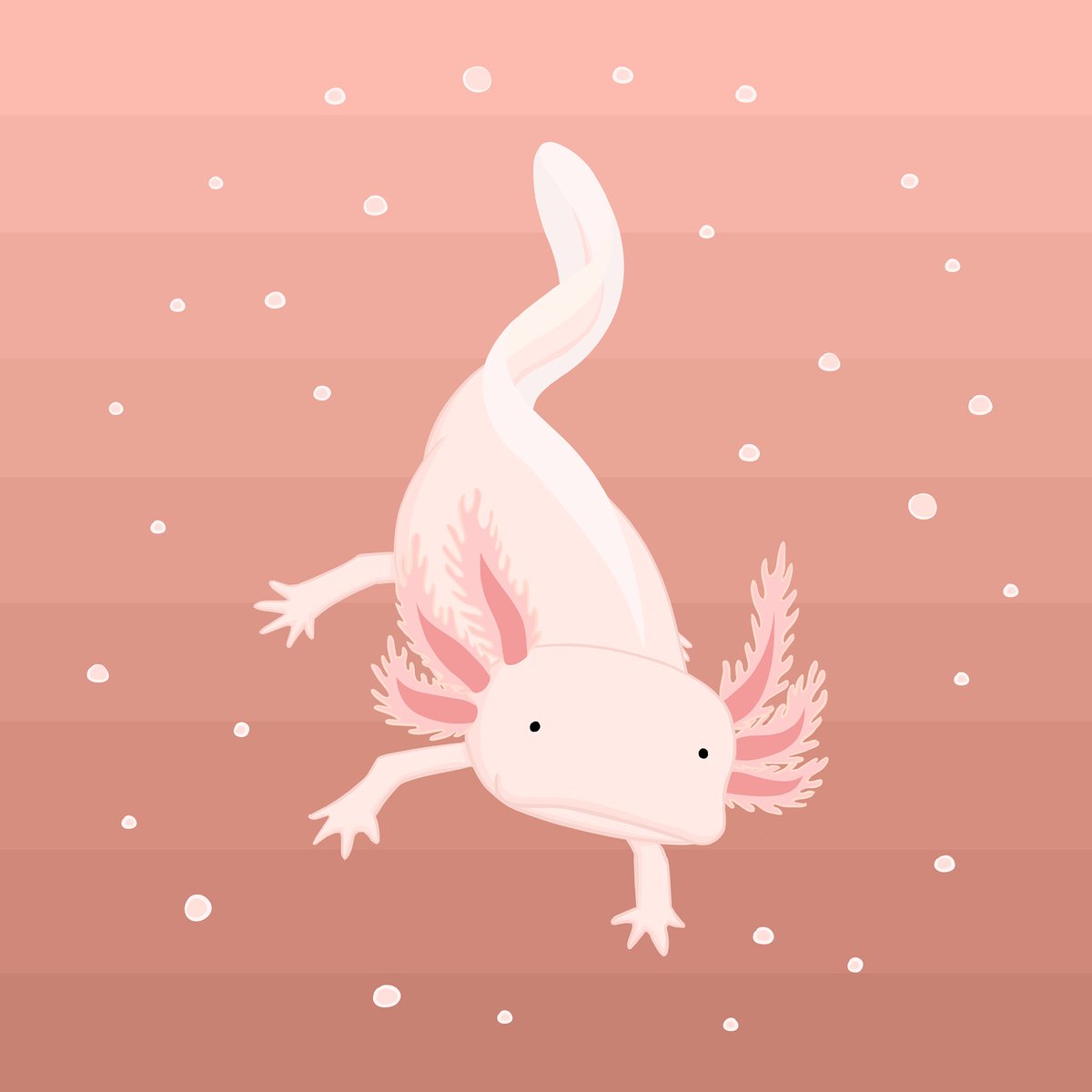Warnerburg's tweet image. What "D" animal should I draw?

Last year I started drawing animals for letters of the alphabet, but I only made it to "C", and now I want to do more 😊  If you know a weird, cute, or beautiful animal starting with "D", lemme know!

#axolotl #blobfish #cecropiamoth #animalart