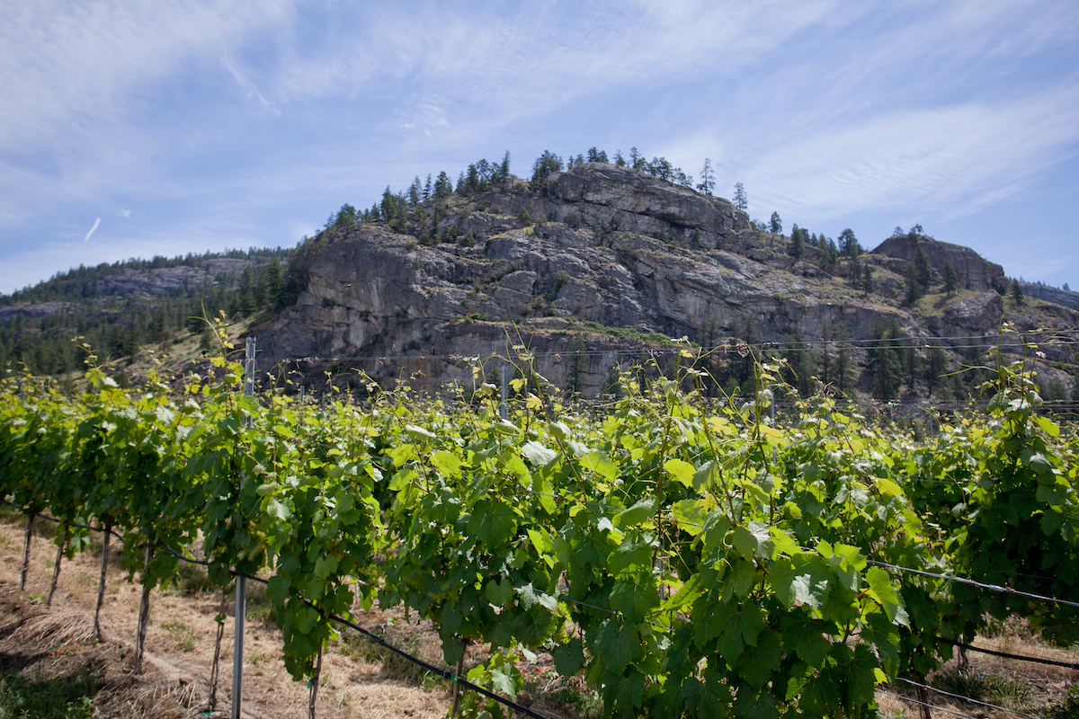 April 22 #heartofwinecountry #spring #winerelease #bcwine #sipokfalls tix $74 @OKFallsWineries <a href="/bchospitality/">BCHF</a> Top Okanagan Falls and Skaha Lake Wines Poured at Spring Tasting in Vancouver - myvancity.ca/2020/02/05/top…