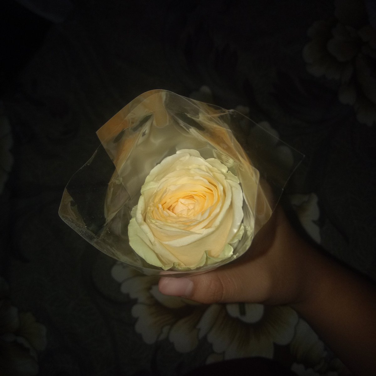 10th- Lemme flex this flower you gave me first kasi aaAaAaaaAHhHHh!!!!! Kinikilig padin ako. HAHAHAHAHAHAHAHAHAHAHA so you bought a peach rose for me kasi sabi mo walang purple, and this is your 2nd fave color.