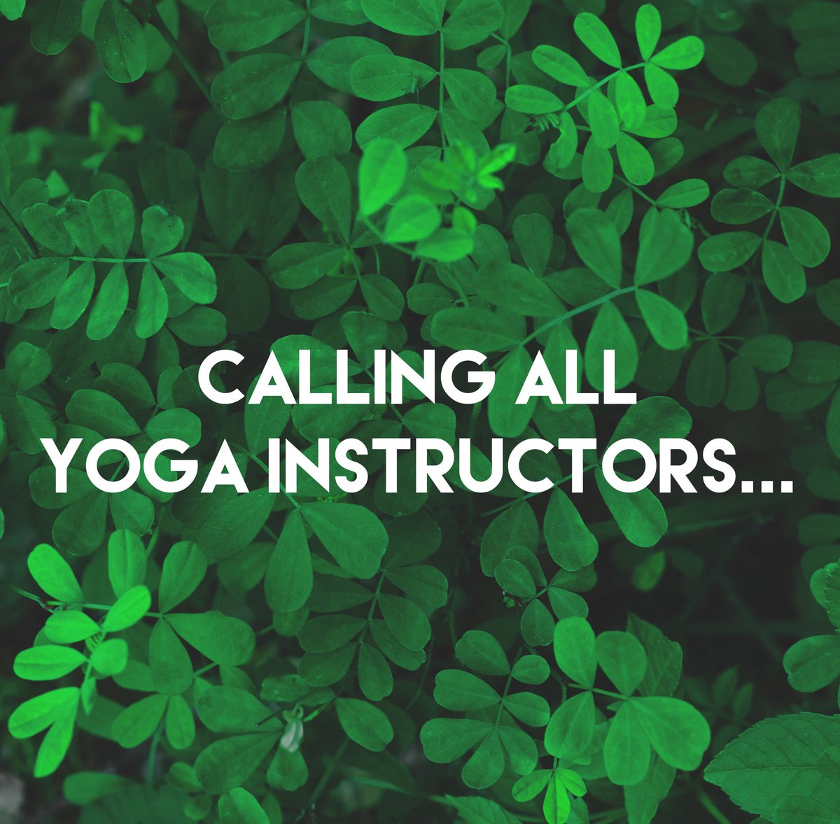 Park Yoga is looking for new instructors in Devizes, Salisbury, Swindon and Winchester. 

If you're interested in becoming part of something great then get in touch with us: hello@parkyoga.co 🙏