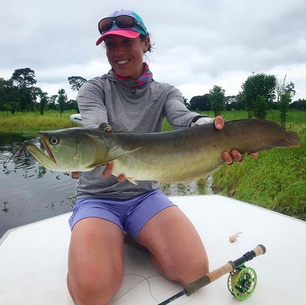 Speaking of scales....scale of 1-10, how cute are these jungle fish?! Any fish that’ll take a mouse pattern is a friend of mine🎣🐭 ! #inthejungle #flyfishing #arowana #exploremore <a href="/pirarucuflyfish/">Pirarucú</a> <a href="/untamedangling/">Untamed Angling</a> 📷: @RodSallesFly