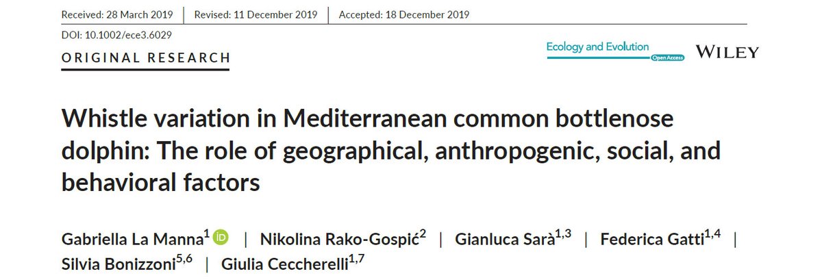 DraskoHolcer's tweet photo. Whistles of bottlenose dolphin from Sardinia and Croatia show significant impact of social &amp; behavioural context on whistle structure &amp; should be considered when investigating acoustic variability among distant  populations! #BWIScience #FocusonAdriatic https://t.co/q8nzli4zI7 https://t.co/z55X9khyYY