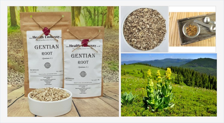 Gentian Root (Gentiana L.) #gentianroot #gentiana #herbaltea #vegetarian #remedies #homeopathy #naturalmedicine #organicherb #herbalism #witchcraft #spell #dietary #diet #treatment #organictea #infusion #herbaltea #naturalhealth #medicine #organic #tea https://healthembassy.co.uk/en/roots/148-gentian-root-gentiana-l.html …