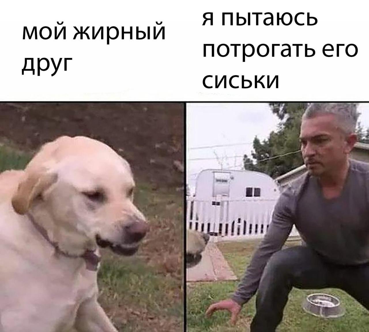 EQBPKezWAAAcNZl?format=jpg&name=large