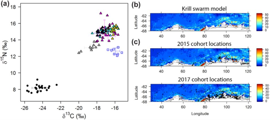 5 yrs ago <a href="/SteelySeabirder/">David Steel</a> set us up with BBC Springwatch to fund geolocators; @NEE_Naturalist members gave more. Some results on activity and diet of Farnes Arctic Terns in the Antarctic are here doi.org/10.1111/jav.02… ; stunning birds! email me if interested.