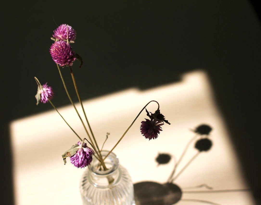 繻 鳳花 時たま フレッシュハーブや生花を頂くことがありますが 永遠に咲き続けるわけでもないので大半はドライハーブやドライフラワーにして引き続き家に飾っています 外で乾燥させるので 時間はかかりますが しっかり水分が抜けても花が本来持つ色は