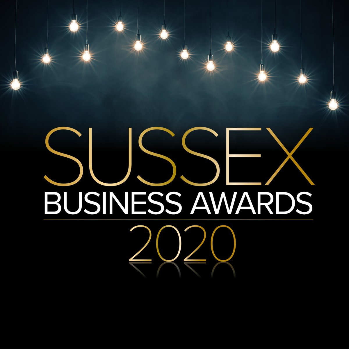 There are still a few exciting sponsorship opportunities left for the 2020 Sussex Business Awards. 
Entering its 32nd year The Sussex Business Awards is the most prestigious award of its kind in Sussex. Contact sussex@platinumpublishing.co.uk for more information. #SBA20