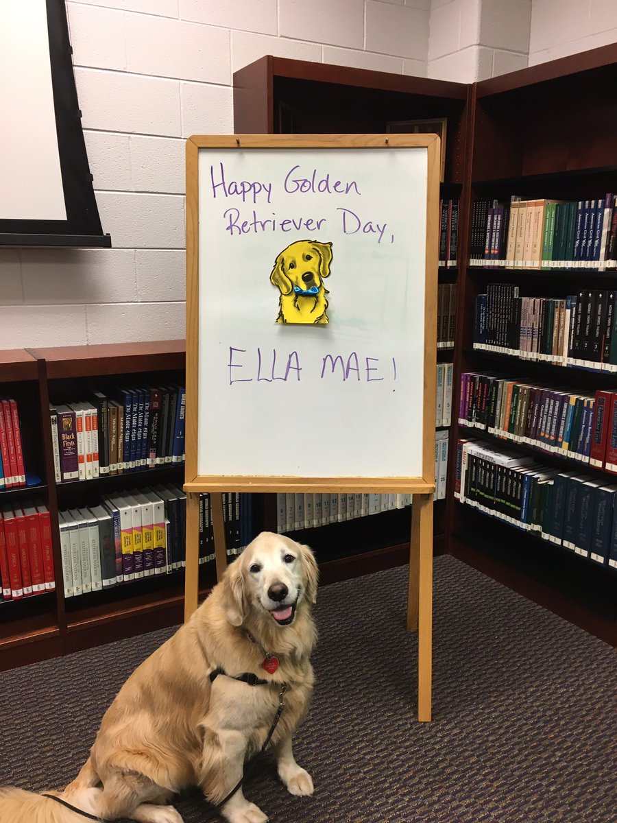 McGrawML's tweet photo. We had a fun day celebrating Ella Mae in the @CosbyLibrary today! National Golden Retriever Day was on February 3rd but we are celebrating a few days late! #ccpslibraries #WeAreCosby #CosbylovesELLA https://t.co/G8jzULLqKd