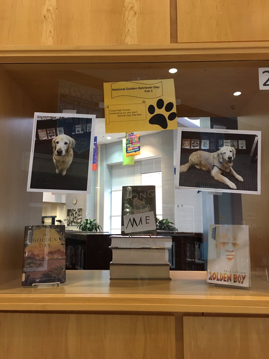 McGrawML's tweet photo. We had a fun day celebrating Ella Mae in the @CosbyLibrary today! National Golden Retriever Day was on February 3rd but we are celebrating a few days late! #ccpslibraries #WeAreCosby #CosbylovesELLA https://t.co/G8jzULLqKd