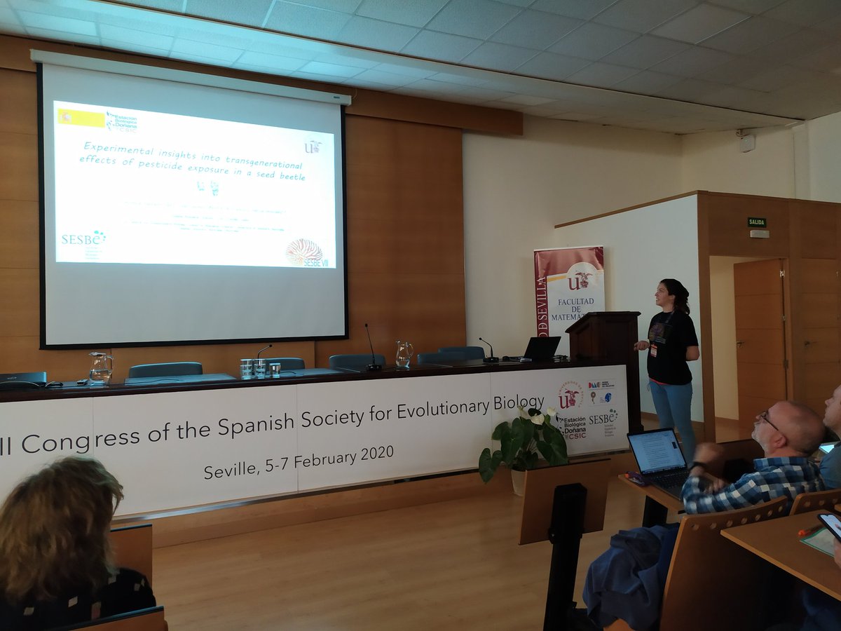 sesbe2020 (@sesbe2020) on Twitter photo Our colleague Verónica Castaño Sanz from <a href="/ebdonana/">Estación Biológica de Doñana - CSIC</a> talking now. Experimental insights into transgenerational effects of pesticide exposure in a seed beetle. #sesbe2020 Our colleague Verónica Castaño Sanz from <a href="/ebdonana/">Estación Biológica de Doñana - CSIC</a> talking now. Experimental insights into transgenerational effects of pesticide exposure in a seed beetle. #sesbe2020