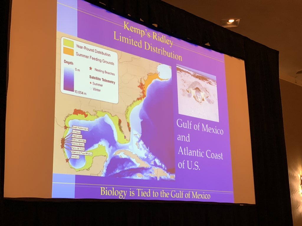 SeaTurtleCenter's tweet image. Dr. Thane Wibbels @UABBiology is giving the keynote presentation @SERSTM_2020 #SERSTM2020 Great way to start the meeting.