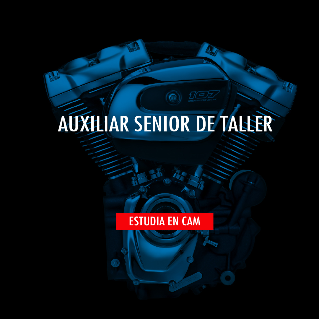 CAM_MECATRONICA's tweet photo. Vos elegís a donde queres llegar,  en dos años podes recibirte como Auxiliar senior en taller de motos,  con certificación modular oficial del CAM.
.
#camesmecatronica #motos #mecanica #inscripcion 2020 https://t.co/oSoKbNZfnR