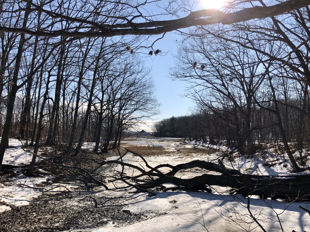 Monday – bei  Fore River Trail
