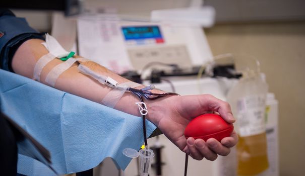 tamariformation's tweet photo. Jusqu'à présent, les personnes homosexuelles devaient tenir une période d'abstinence d'un an avant de pouvoir donner leur sang 💉  #dondusang 
https://t.co/FEOh6iamHu https://t.co/b7iboAljA3
