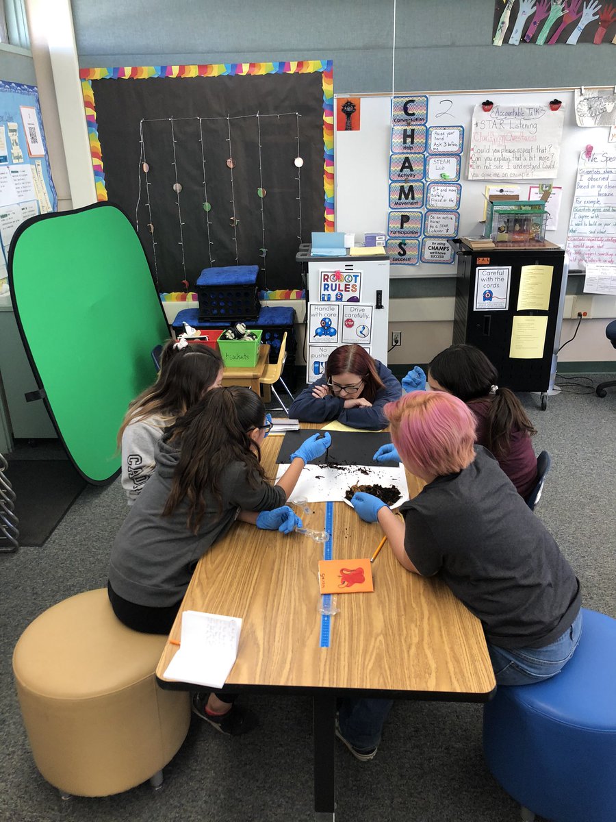 mlam_mandy's tweet photo. 5th graders continue to investigate the role of worms in a healthy ecosystem during STEAM Lab. @lvssealions https://t.co/SPcHTp87p3