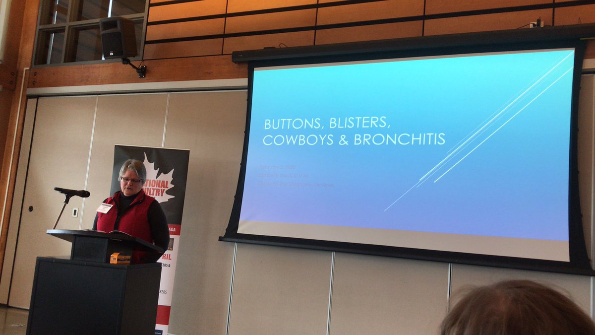 Dr Liz Black discussing our industry challenges with Breast buttons and Cowboy legs in Turkeys and bronchitis issues in Layers. Of course all of these are multi-factorial! #PICLearn #JordanPoultryProducerUpdate