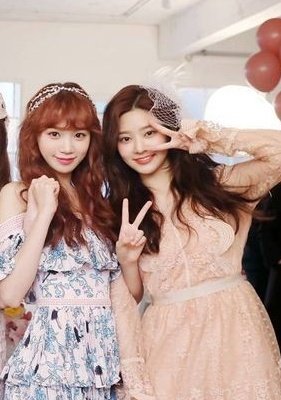 chaewonthings's tweet photo. 2kim being next to each other: a thrilling saga https://t.co/0pi3OkqYH9