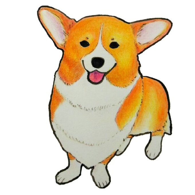 柯基犬のtwitterイラスト検索結果 古い順