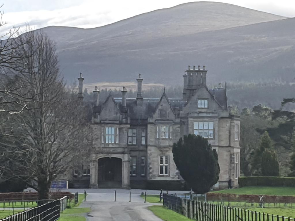 Always worth a visit #muckrosshouseandgardens in early spring sunshine awaiting the springtime birth of new life and colour #kerrytaxitours the specialist  in private day Tours in south west Ireland 
#ringofkerry #wildatlanticway #killarneyvalley #dingle
#www.kwrrytaxitours.com