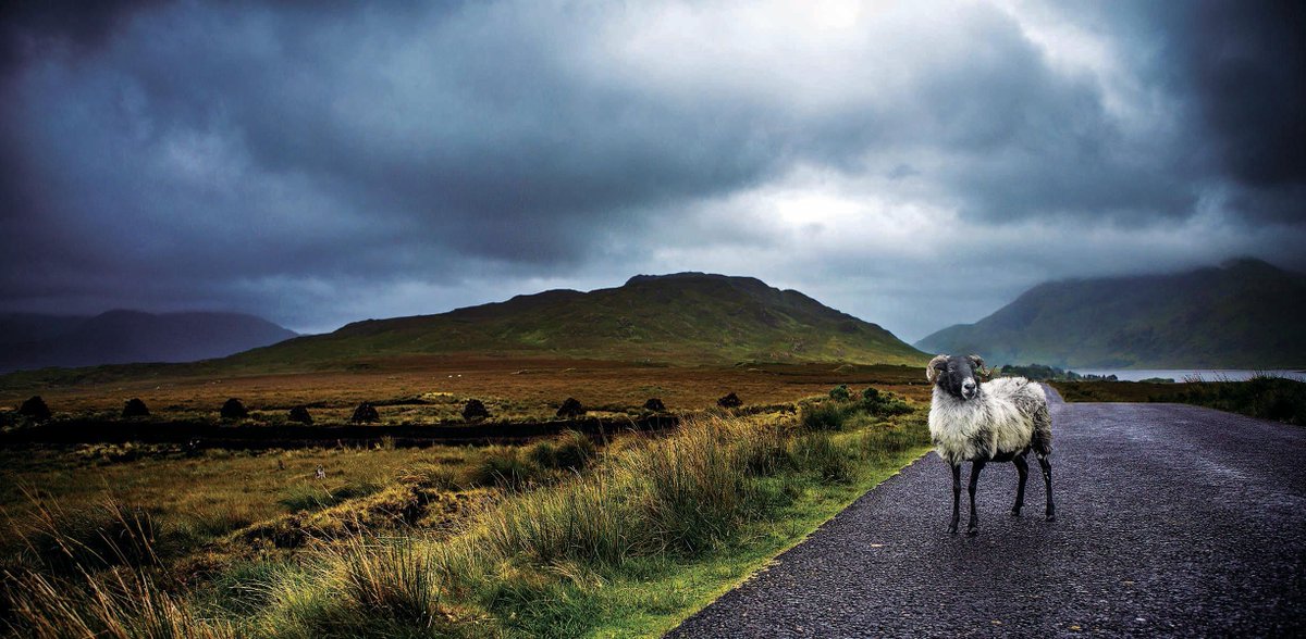 MGreer_PR's tweet image. Ireland opens their European Capital of Culture 2020 programme in Galway on Sat 8th Feb. galway2020.ie/en/ via @Galway2020 #Galway2020 #LetTheMagicIn