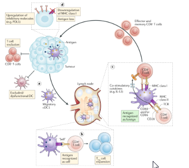 NatRevImmunol's tweet image. 'Immune crosstalk in cancer progression and metastatic spread'
A new #Review that highlights intriguing parallels between inflammatory disorders and cancer progression
go.nature.com/2vTuWf1
by Hannah Garner and Karin de Visser @NKI_nl