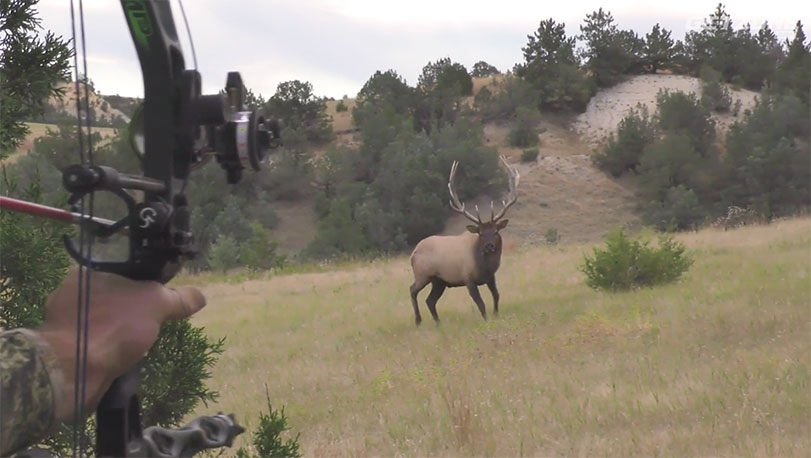 GunUp's tweet photo. 🎥WATCH NOW🎥
New Episode of In the Hunt - Elk Time #InTheHunt. Casey gets a clear shot and emotions run high when he tags this massive elk. You don’t want to miss this elk hunt!
https://t.co/dd102UZU8t #hunting #ITHET https://t.co/j9EaBeGDqH