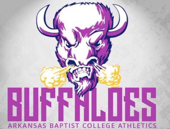 Matthew2Rouse's tweet photo. I am very excited and thankful to say I’ve received an offer to play baseball at Arkansas Baptist University! https://t.co/3kEaZnvCOW
