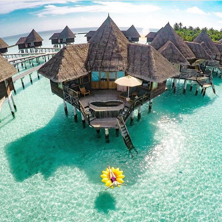 thedoggich's tweet photo. If you need a vacation deal, you've come to the right place. We put the best Flight &amp; Hotel packages together for you so you don't need to search for both of them separately. https://t.co/cvM2DX2XUK ✓ always here to make your globe-trotting dreams come true.
Follow 👉@thedoggich https://t.co/DpNinYwb53