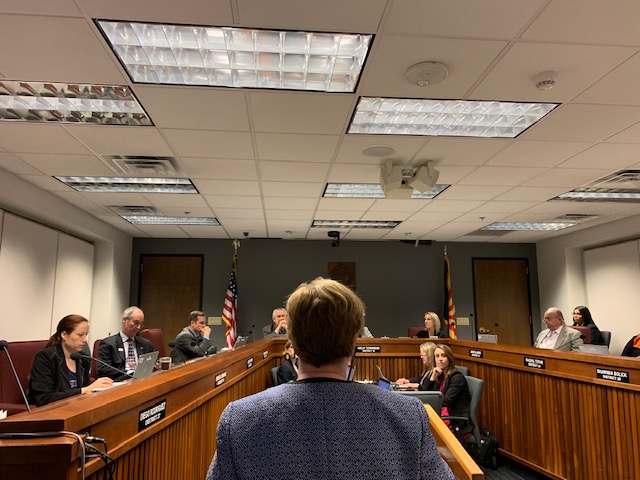 Christy McCormick presenting to the Arizona Elections Committee