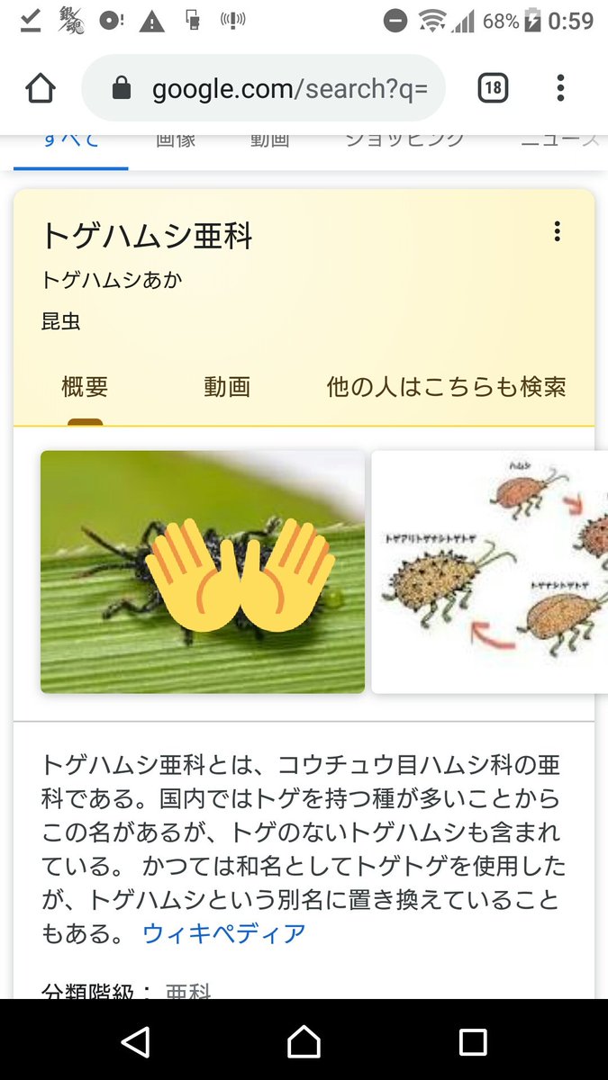 西ちなみ 17live なんか全然突然フォロワー氏がトゲアリトゲナシトゲトゲが って言ってて五度見した えっいや普通に虫のはなしだったけどさ えっそんな会話でいう トゲアリトゲナシトゲトゲの写真送りあうの すご 私は五度見のすえに