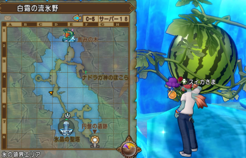 ドラクエ10攻略の虎 白霜の流氷野 C 5 スイカさま確認です モンスターシール
