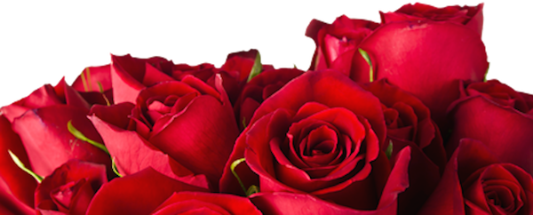 Valentine's Day Promo Code for You - mailchi.mp/lockedupfw/pro…