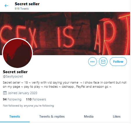  #OnBlast Underaged SCAMMER  @sexxysinnner has a 2nd account now: @SexXysxcret!Still underage, selling content & scamming; she DOESN'T get how illegal/wrong it is! #RT &  #REPORT ALL HER ACCOUNTS to Twitter CSE:  https://help.twitter.com/forms/cse 