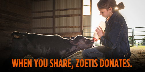 BeefUSA's tweet image. Share your calf pictures with #MyHerdFuelsMe and you may see them on the screen at Booth 743. For every photo displayed, Zoetis will donate $1 to the @NationalFFA. Learn more. MyHerdFuelsMe.com