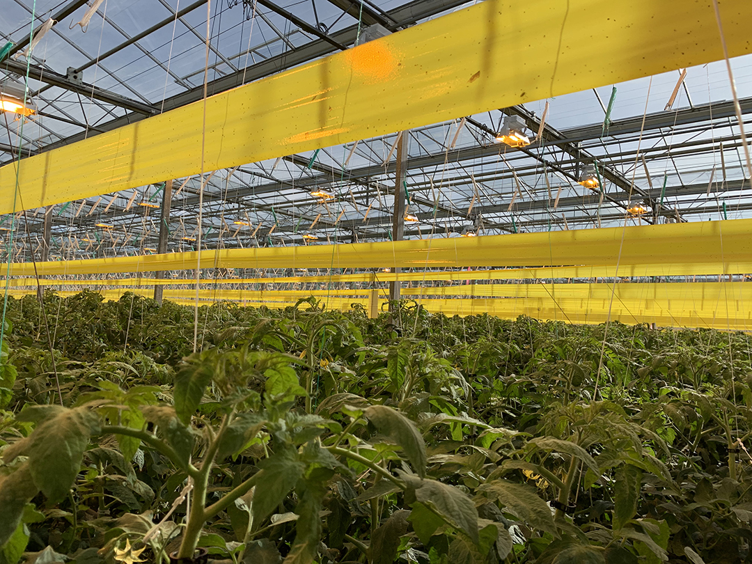 Biobest North America tweet media