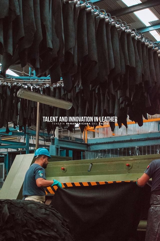 TePanamericana's tweet photo. Talent and innovation, the perfect combination.
#TalentoPanamericana #TeneriaPanamericana #DoItInLeather https://t.co/qO0oeHQpul